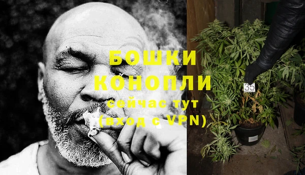 каннабис Бердск