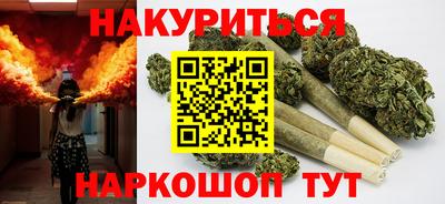 шишки Бийск