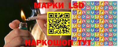 ГАЛЛЮЦИНОГЕННЫЕ ГРИБЫ Гай