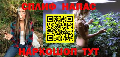 шишки Бийск