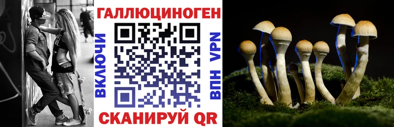 где продают наркотики  Кизляр  Галлюциногенные грибы GOLDEN TEACHER 