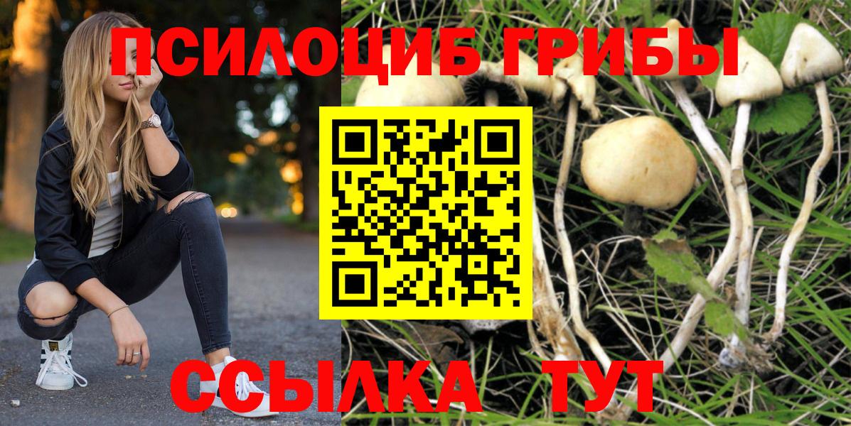 Псилоцибиновые грибы ЛСД Кизляр