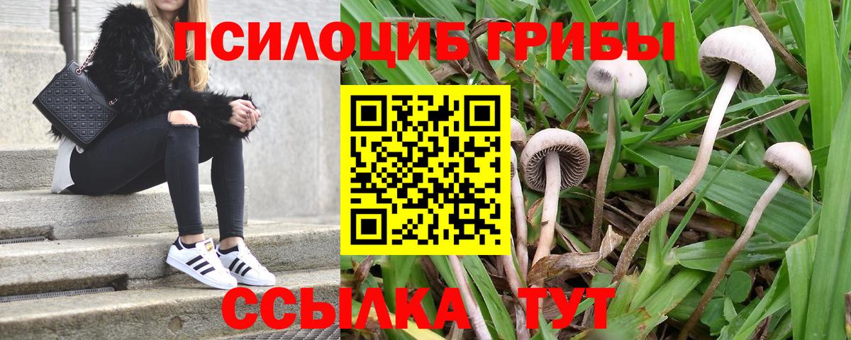 Кизляр  Галлюциногенные грибы мицелий  Псилоцибиновые грибы мухоморы  Вход с VPN 