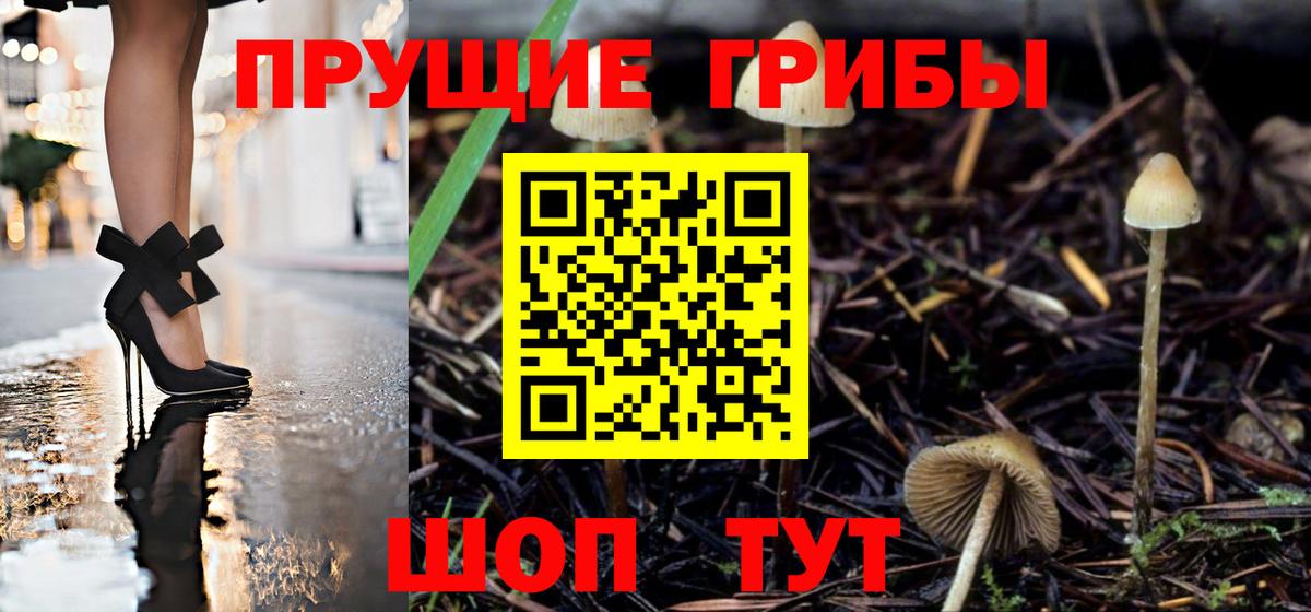 Галлюциногенные грибы MAGIC MUSHROOMS  Псилоцибиновые грибы Cubensis  Кизляр 